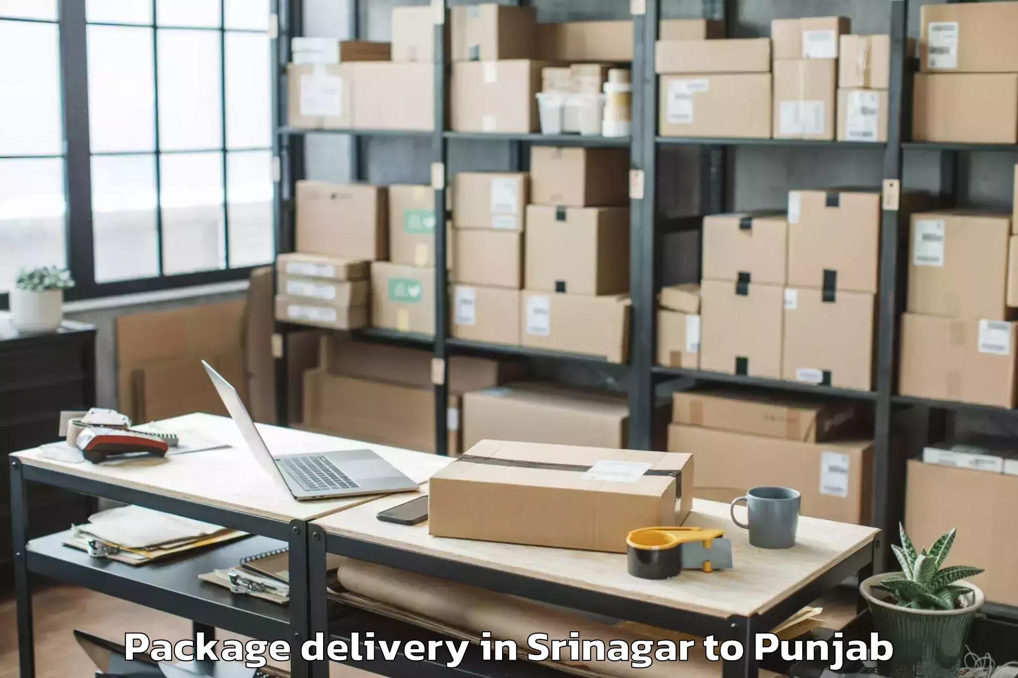 Get Srinagar to Zirakpur Package Delivery